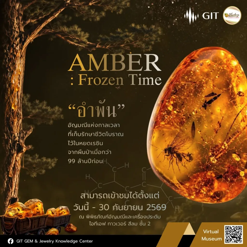 นิทรรศการ “AMBER: Frozen Time” อำพันอายุ 99 ล้านปี