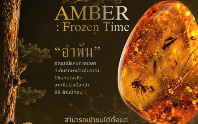 นิทรรศการ “AMBER: Frozen Time” อำพันอายุ 99 ล้านปี