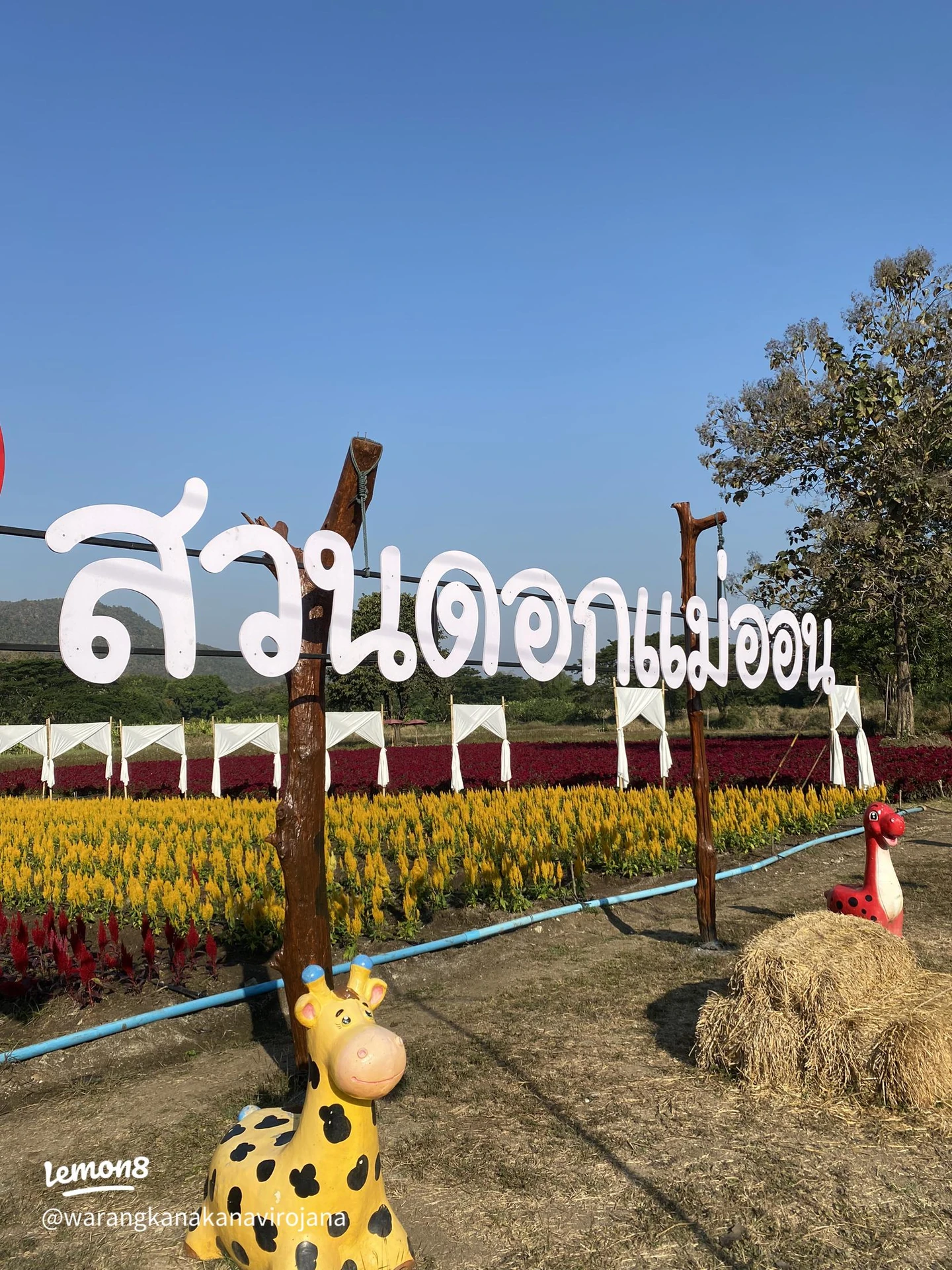 ป้ายสวนดอกแม่ออนกับแปลงดอกไม้สีแดงและเหลือง — จากโพสต์ที่แสดงวันแก้ไข 2 กุมภาพันธ์ 2566 ไม่ระบุปีถ่าย ใช้ประกอบสถานที่ย้อนหลัง ไม่ใช่ภาพงานยี่เป็งปี 2569 หรือการเตรียมงาน และไม่ยืนยันสภาพดอกไม้หรือผังงานปัจจุบัน