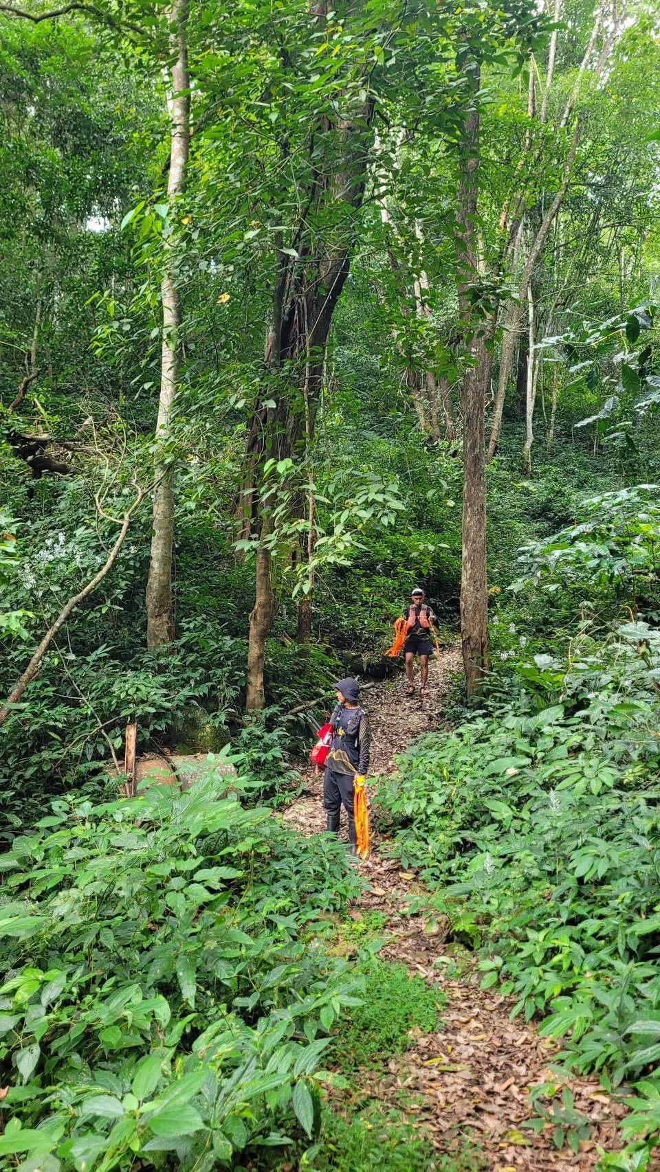 ภาพถ่ายบนเส้นทางป่าที่เพจ THEP SADET TRAIL เผยแพร่ก่อนงาน คงภาพเต็ม ไม่ระบุวันถ่ายหรือข้อมูลบุคคล