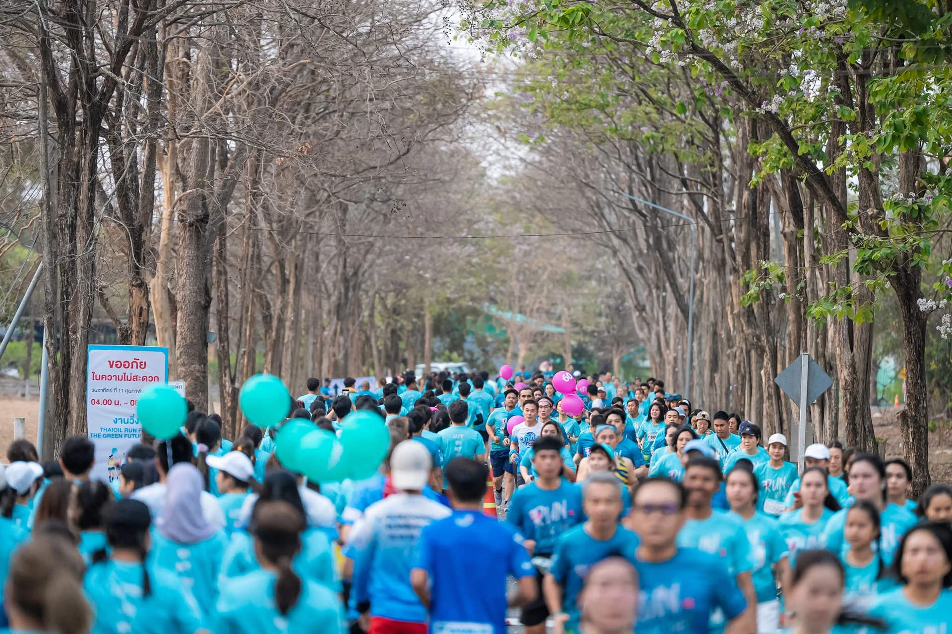 ผู้ร่วมวิ่งบนเส้นทางใต้แนวต้นไม้ จากภาพย้อนหลัง Thaioil Run For the Green Future 2024 ที่เพจผู้จัดเผยแพร่ คงภาพเต็ม