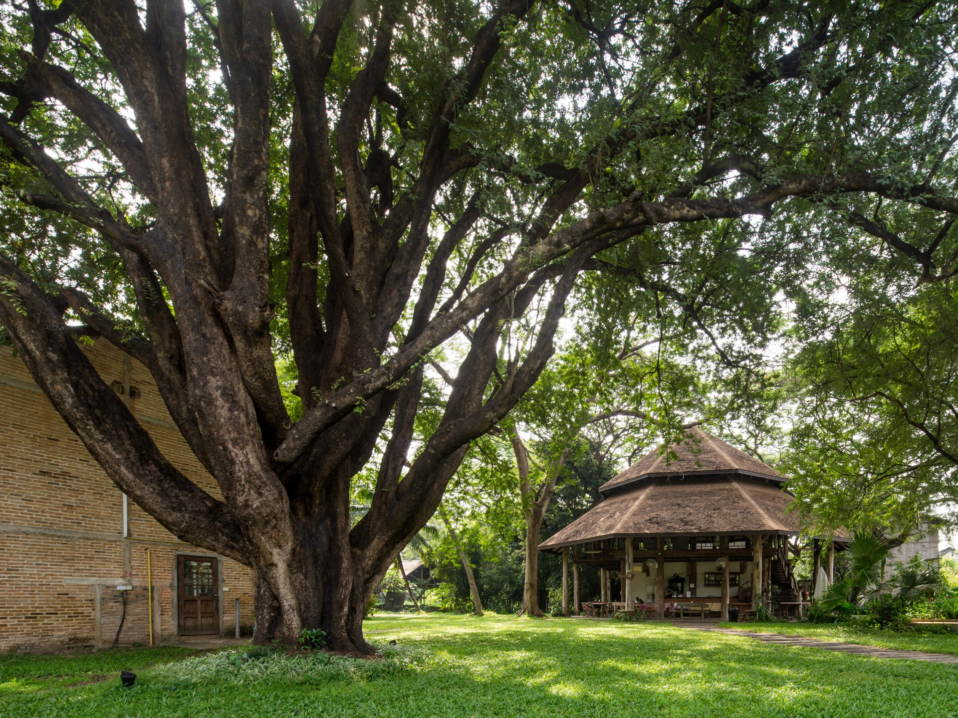 ภาพพื้นที่โดยรอบบนหน้า Yoga & Retreats ของเก๊าไม้ล้านนา — ไม่ระบุปีถ่าย