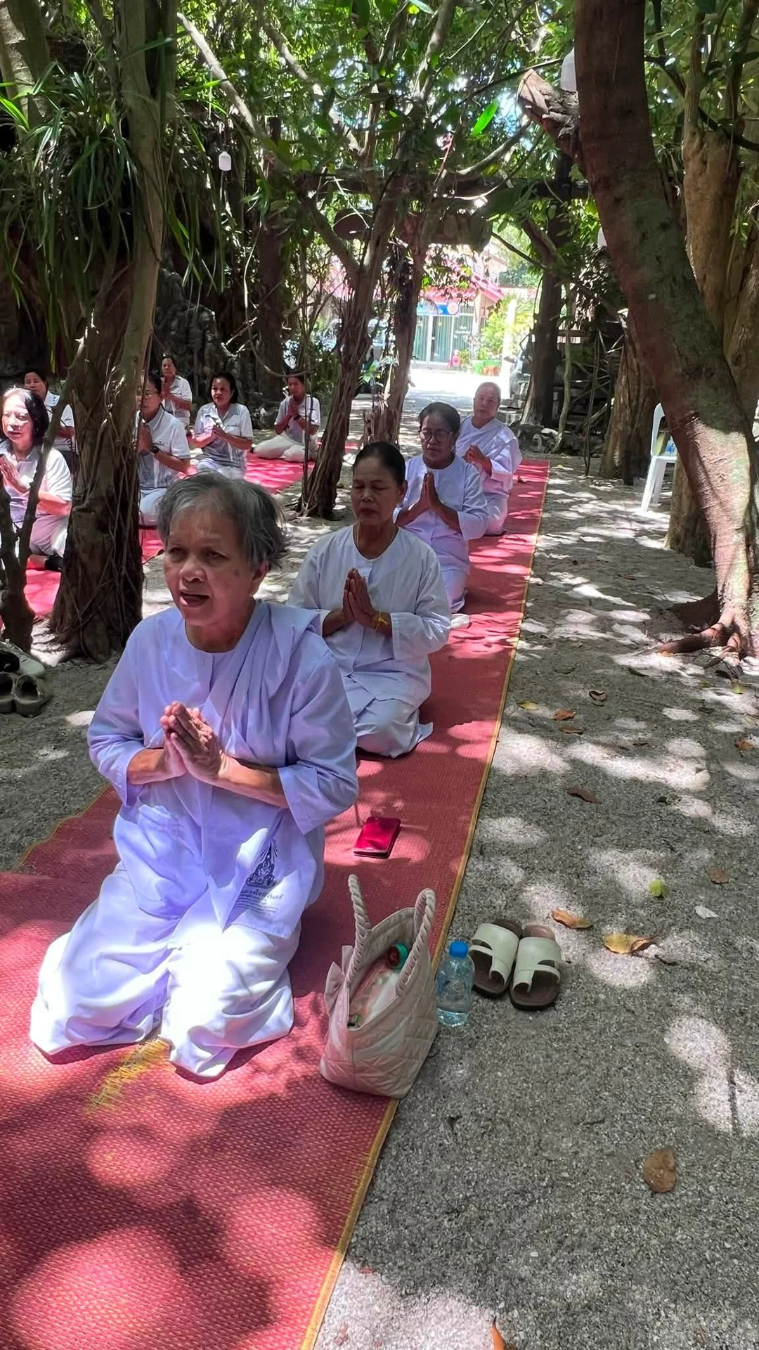 ผู้ร่วมกิจกรรมนั่งพนมมือใต้ร่มไม้ ภาพประกอบการปฏิบัติธรรมที่วัดพระพรหมเผยแพร่ ไม่ระบุปีถ่าย